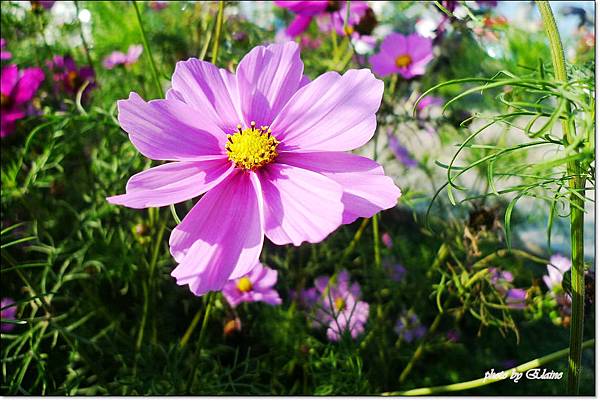 P1260941.jpg P1260941.jpg