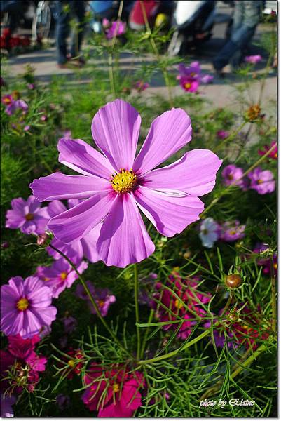 P1260946.jpg P1260946.jpg