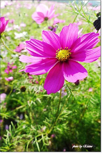 P1260959-1.jpg P1260959-1.jpg