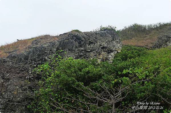 P1280019