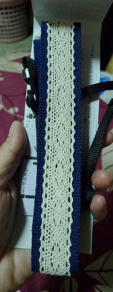 P1300645 P1300645