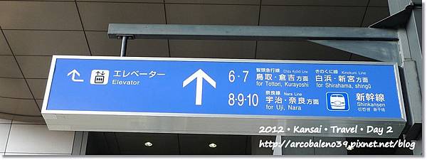 P1280520 P1280520