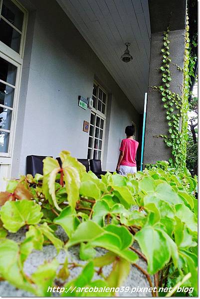 P1320366 P1320366