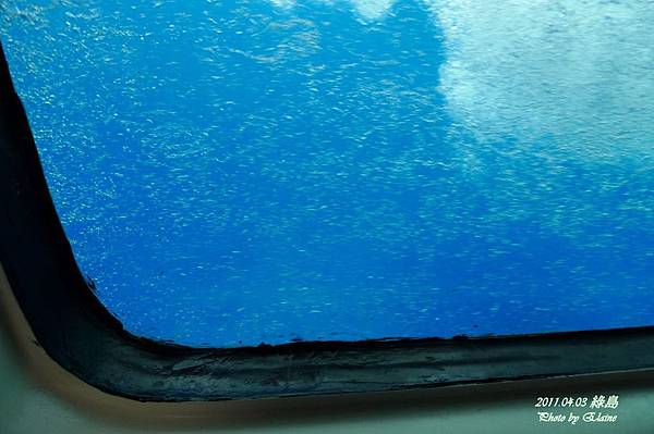 P1220731.JPG P1220731.JPG