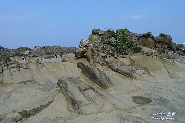 P1220550.JPG P1220550.JPG