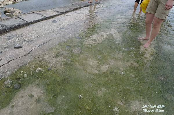 P1220936.JPG P1220936.JPG