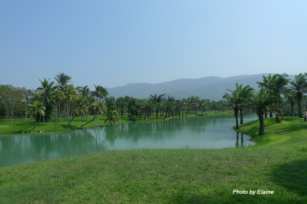 P1090213.JPG P1090213.JPG