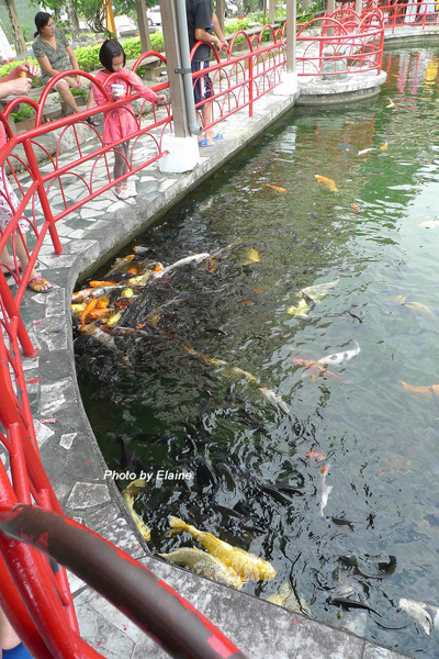 P1090227.JPG P1090227.JPG