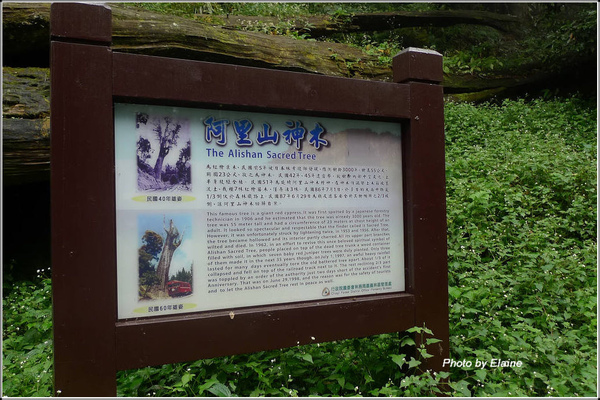 P1100789.JPG