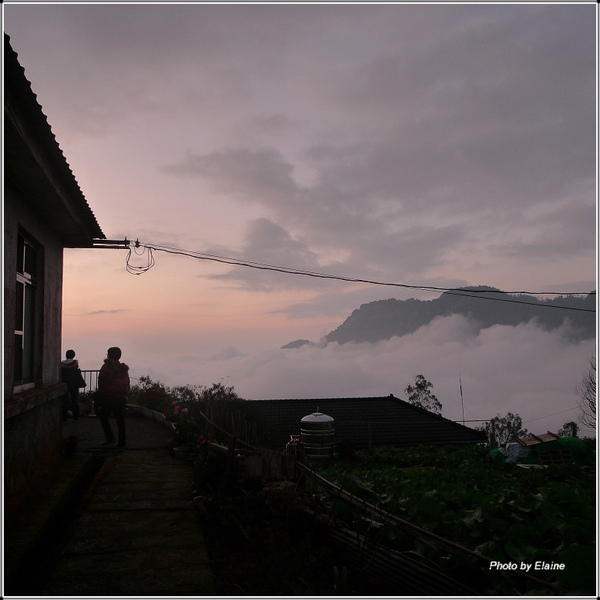P1100839.JPG