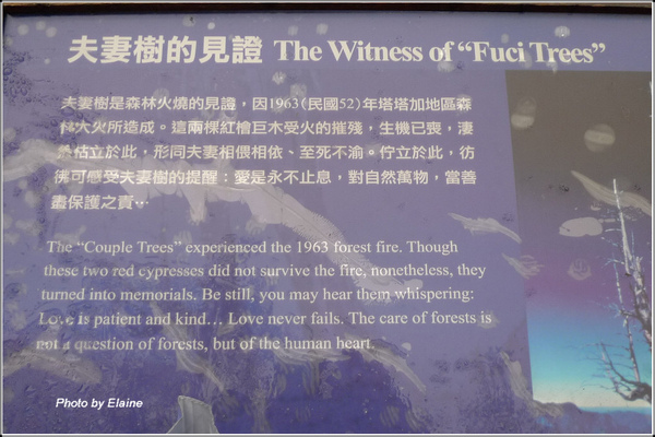P1100877.JPG