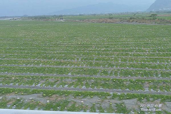 P1220629.JPG P1220629.JPG