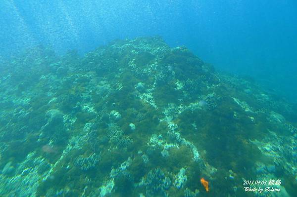 P1220749.JPG P1220749.JPG