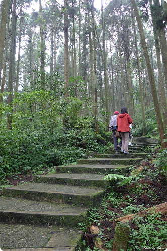 P1190130.JPG
