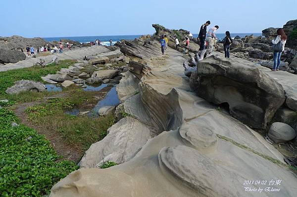 P1220545.JPG P1220545.JPG