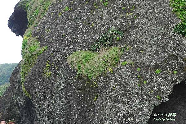 P1220897.JPG P1220897.JPG