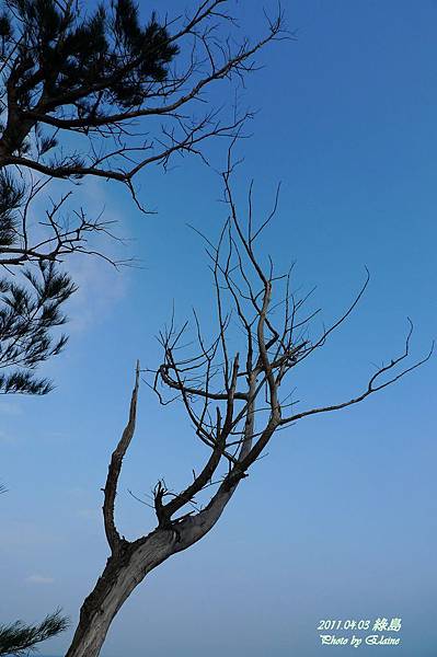 P1220881.JPG P1220881.JPG