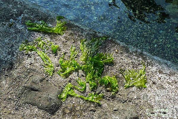 P1220786.JPG P1220786.JPG