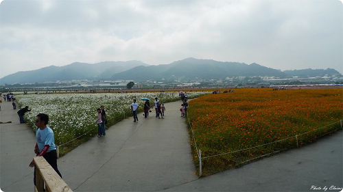 P1190363.JPG