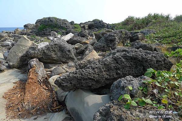 P1220548.JPG P1220548.JPG