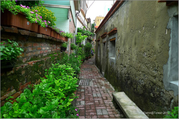 P1160218.JPG