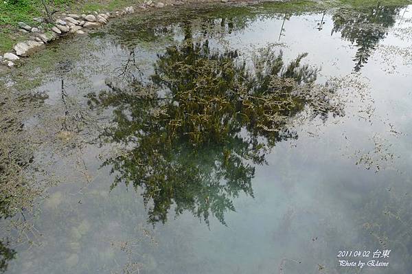 P1220651.JPG P1220651.JPG