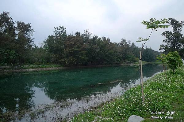 P1220682.JPG P1220682.JPG