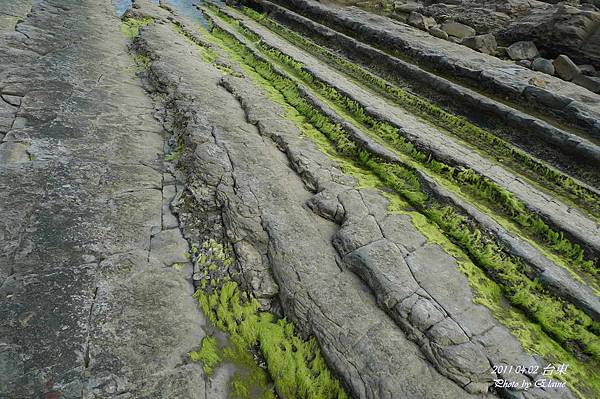 P1220571.JPG P1220571.JPG