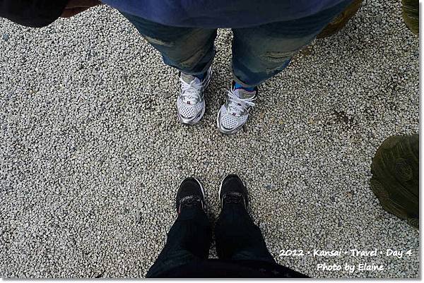 P1290358 P1290358