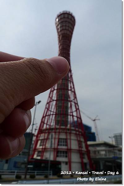 P1290940 P1290940