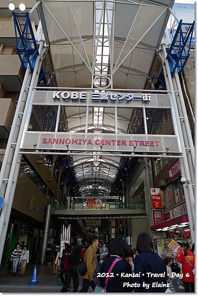 P1290995 P1290995