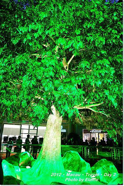 DSC01567 DSC01567