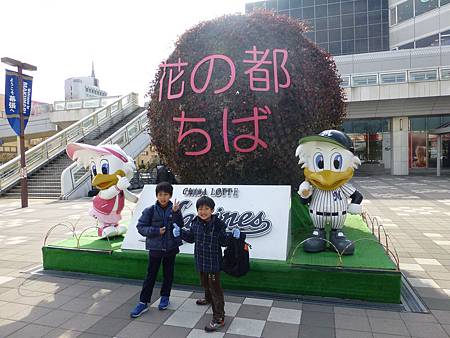 P1010578.JPG P1010578.JPG