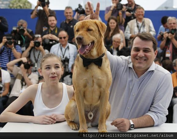 Hegen-at-Cannes Hegen-at-Cannes