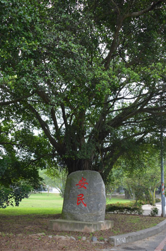 Hongmei (1).JPG Hongmei (1).JPG