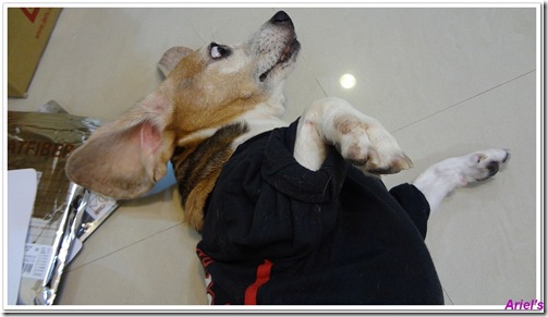 DSC00812-1 DSC00812-1