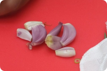 DSCF5318-1 DSCF5318-1