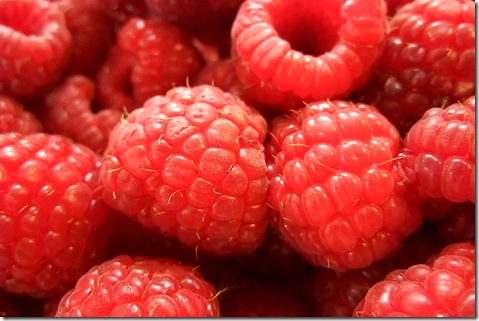 DSCF0012-1 DSCF0012-1