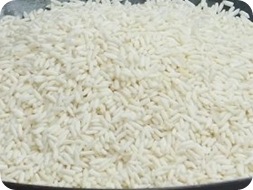 DSCF5307-1 DSCF5307-1