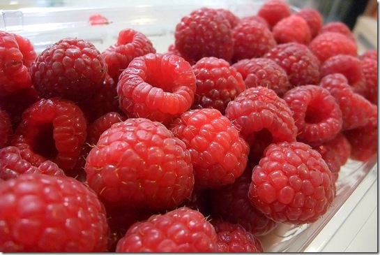 DSCF0009-1 DSCF0009-1