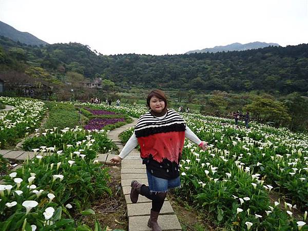 DSC04173.JPG DSC04173.JPG