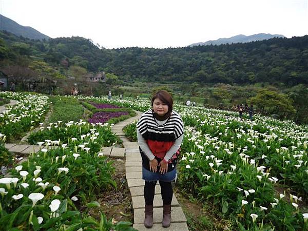 DSC04175.JPG DSC04175.JPG