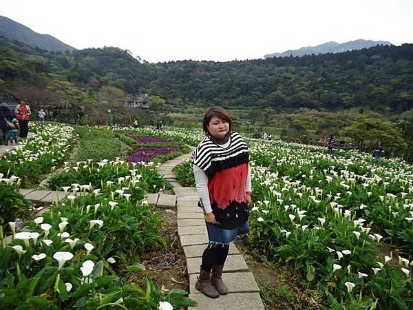 DSC04179.JPG DSC04179.JPG