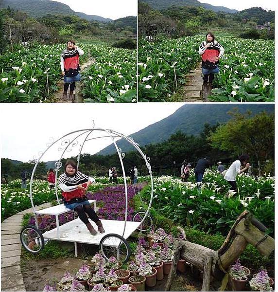 竹子湖7.JPG 竹子湖7.JPG