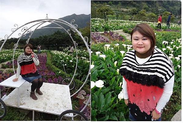 竹子湖8.JPG 竹子湖8.JPG