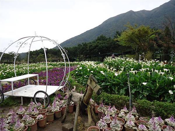 DSC04111.JPG DSC04111.JPG