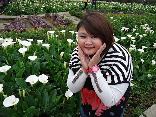 DSC04112.JPG DSC04112.JPG