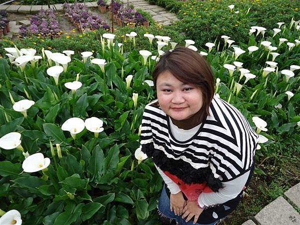 DSC04114.JPG DSC04114.JPG