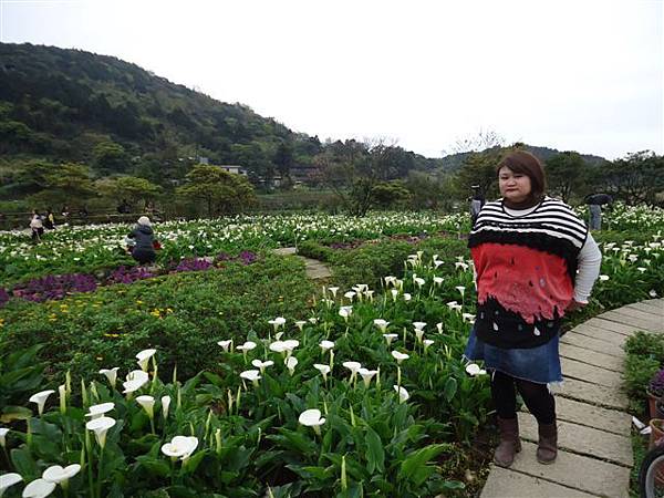 DSC04132.JPG DSC04132.JPG