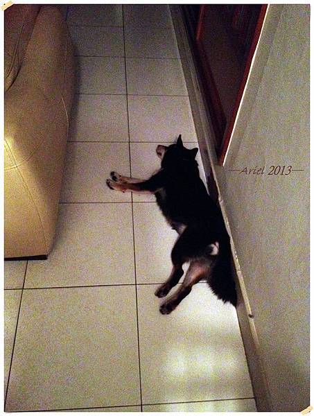 昏睡5jpg 昏睡5jpg